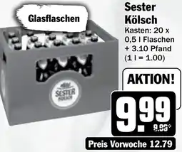 Hit Sester Kölsch Angebot
