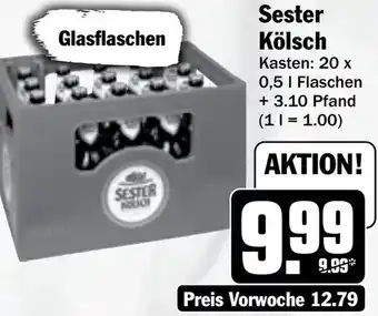 Hit Sester Kölsch Angebot