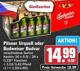 Hit Pilsner Urquell oder Budweiser Budvar Angebot
