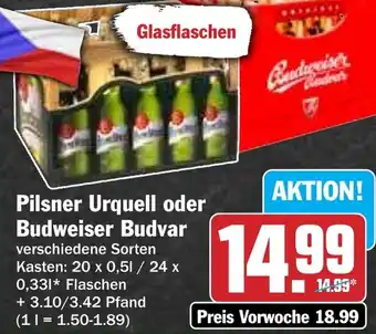 Hit Pilsner Urquell oder Budweiser Budvar Angebot