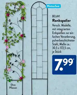 Aldi Süd BELAVI Rankspalier Angebot