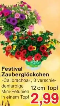 Jawoll Festival Zauberglöckchen Angebot