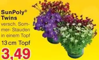 Jawoll SunPoly Twins Angebot