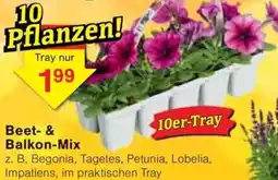 Jawoll Beet- & Balkon-Mix Angebot