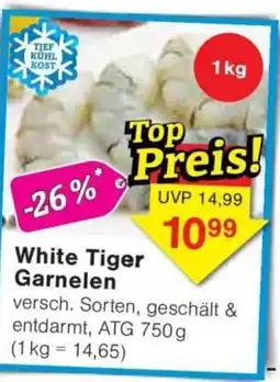 Jawoll White Tiger Garnelen Angebot