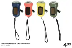 Zeeman Solarbetriebene Taschenlampe Angebot