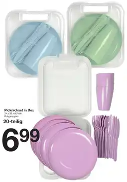 Zeeman Picknickset in Box Angebot