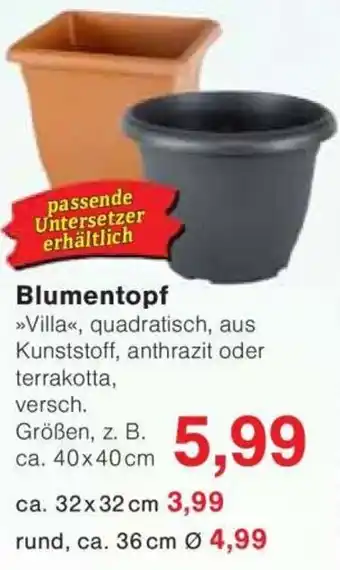Jawoll Blumentopf Angebot
