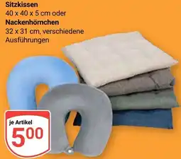 Globus Sitzkissen oder Nackenhörnchen Angebot