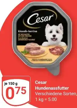 Globus Cesar Hundenassfutter Angebot