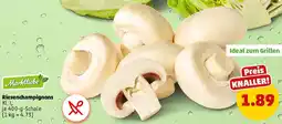 PENNY Riesenchampignons Angebot
