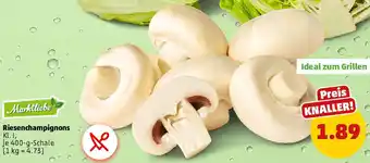 PENNY Riesenchampignons Angebot