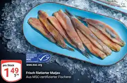 Globus Frisch filetierter Matjes Angebot