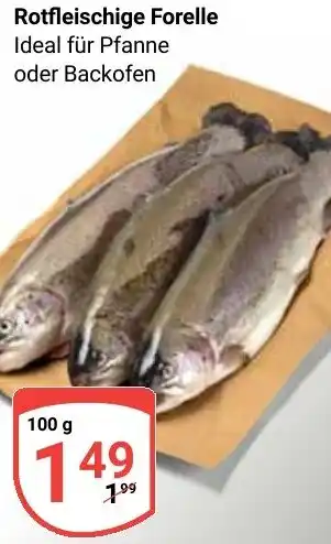 Globus Rotfleischige Forelle Angebot