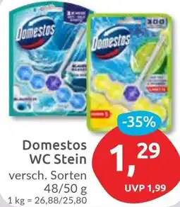 Budni Domestos WC Stein Angebot