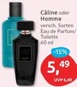 Budni Câline oder Homme Angebot