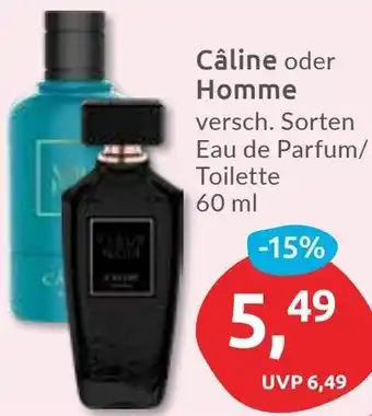 Budni Câline oder Homme Angebot