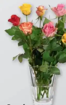 tegut Rosenstrauß Angebot