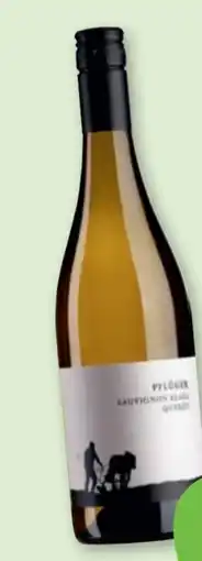 tegut Weingut Pflüger Bio-Sauvignon Blanc Angebot