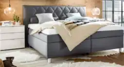 XXXLutz Esposa Polsterbett Angebot