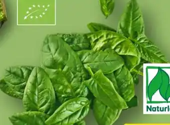 Aldi Nord Gut Bio Bio-Spinat Angebot