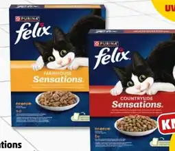 PENNY Purina Felix Countryside Sensations Angebot