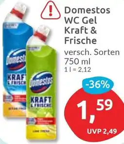 Budni Domestos WC Gel Kraft & Frische Angebot