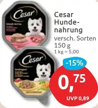 Budni Cesar Hundenahrung Angebot