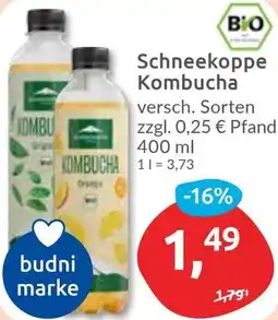 Budni Schneekoppe Kombucha Angebot