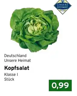 CAP Markt Kopfsalat Angebot