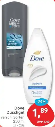 Budni Dove Duschgel Angebot