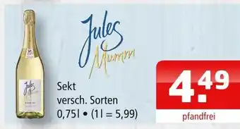 Getränke Oase Jules mumm sekt Angebot