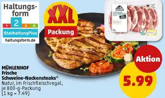 PENNY MÜHLENHOF Frische Schweine-Nackensteaks Angebot