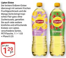 Globus Lipton Eistee Angebot
