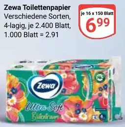 Globus Zewa Toilettenpapier Angebot