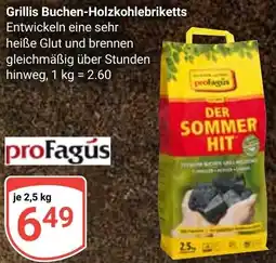 Globus Profagús Grillis Buchen-Holzkohlebriketts Angebot