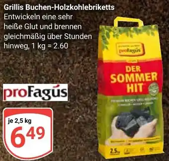 Globus Profagús Grillis Buchen-Holzkohlebriketts Angebot