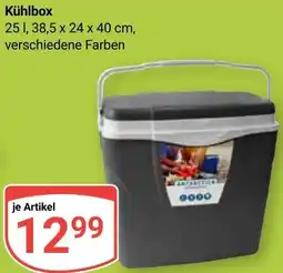 Globus Kühlbox Angebot