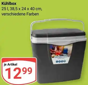 Globus Kühlbox Angebot