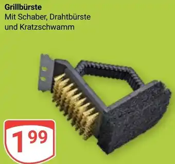 Globus Grillbürste Angebot