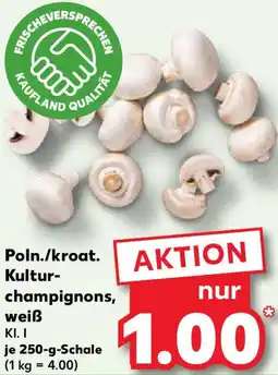 Kaufland Poln./kroat. Kultur- champignons, weiß Angebot