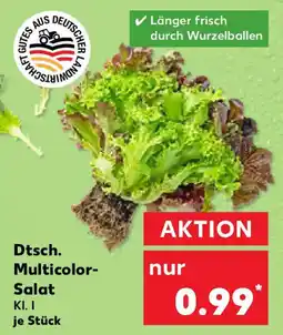 Kaufland Dtsch. Multicolor- Salat Angebot