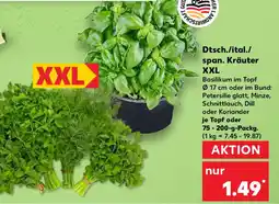Kaufland Dtsch./ital./ span. Kräuter XXL Angebot