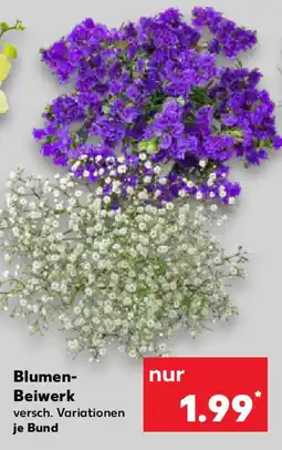 Kaufland Blumen- Beiwerk Angebot
