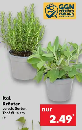 Kaufland Ital. Kräuter Angebot