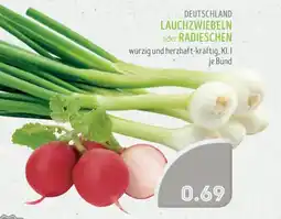 Edeka Struve DEUTSCHLAND LAUCHZWIEBELN oder RADIESCHEN Angebot