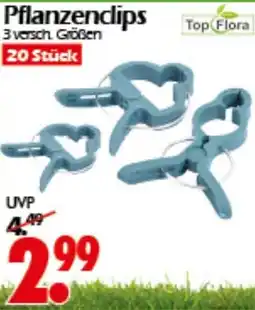 Wreesmann Top Flora Pflanzenclips Angebot
