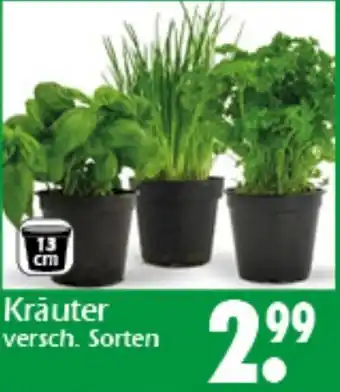 Wreesmann Kräuter Angebot