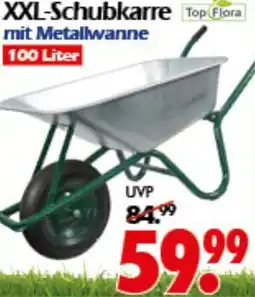 Wreesmann Top Flora XXL-Schubkarre Angebot
