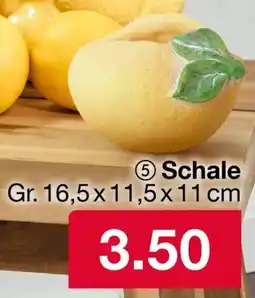 Woolworth Schale Angebot